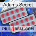 Adams Secret 19